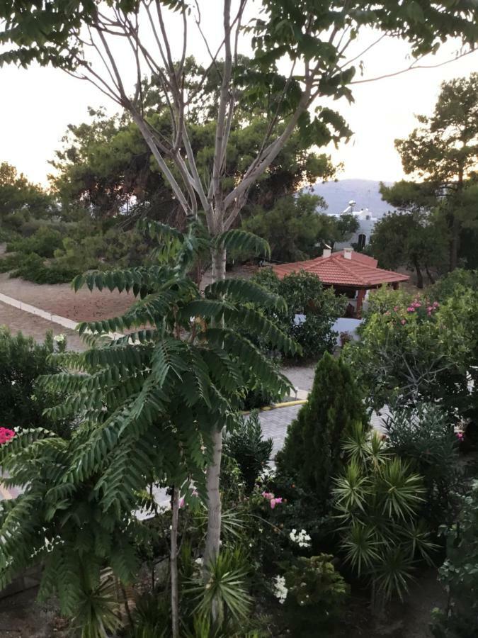 Villa Eirini Pefki  ภายนอก รูปภาพ