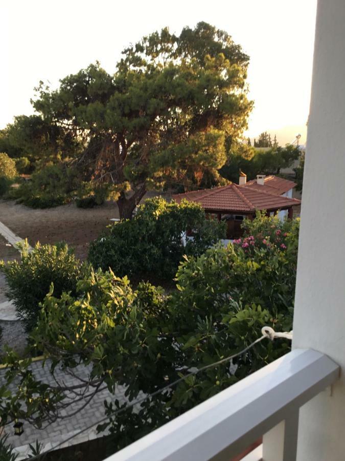 Villa Eirini Pefki  ภายนอก รูปภาพ